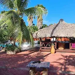 Woodstock Palmresort Curacao Willemstad